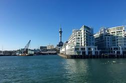 Tour Privado: Tour Escénico de Medio Día en Auckland