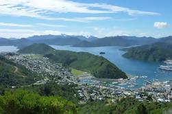 Excursão panorâmica e vinícola em Marlborough de Picton