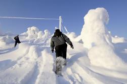 Lappland Schneeschuhwanderung am Arktischen Kreis Wilderness Lodge von Rovaniemi