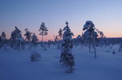 Santa Claus Sleigh Ride um den Arktischen Kreis von Rovaniemi