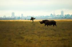 Excursão de meio dia ao Parque Nacional de Nairobi a partir de Nairóbi