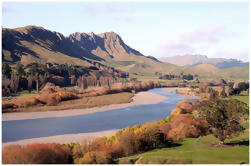 Shore Excursion Half-Day Hawkes Bay and Napier Tour