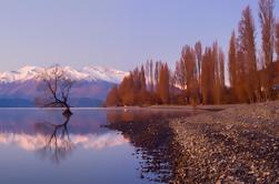 Tour histórico de Arrowtown y Wanaka durante todo el día desde Queenstown