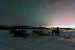 Northern Lights en Reindeer Sledding in Tromso