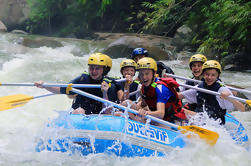 Rafting de medio día en el río Kampar incluyendo almuerzo