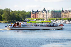 Stockholm City Hop-On Hop-Off Escursione in barca