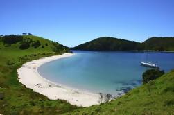 Visite de la baie des îles à partir d'Auckland