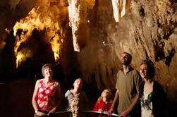 Waitomo Glowworm Caves Discovery Tour van Auckland