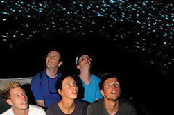 Waitomo Glowworm Caves Entdeckungstour von Rotorua