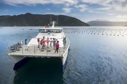 Marlborough Sounds Seafood Cruise van Picton