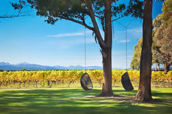 Marlborough Wine Tour en Cruise van Picton of Blenheim