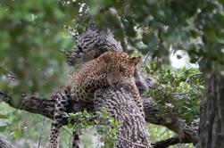 Excursión de un día a la Incubadora de Tortugas, Parque Nacional de Yala y Kataragama