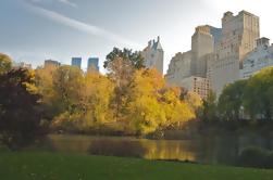 Central Park Gebladerte van de daling Private Tour