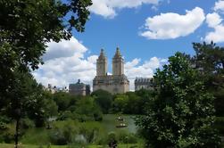 Walking tour privato della Central Park