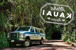 Rainforest 4x4 Van Tour e Aventura de Caminhada