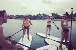 Alquiler de 2 horas de Miami Beach Paddle Board