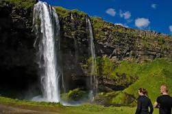 Tagesausflug nach Islands wunderschöner Südküste von Reykjavik