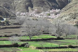 Excursion d'une journée à la Vallée de l'Ourika depuis Marrakech