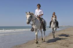 Horseback Riding Ocho Rios Heritage Beach Horse Ride