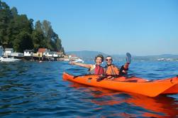 3 horas de kayak en el Oslofjord