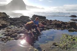 Adventure Day Trip naar West Coast stranden van Auckland