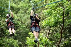 Canopy Tour