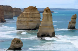 Melbourne Combo: Great Ocean Road Tour y Phillip Island Penguin Parade Tour