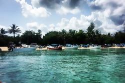 VIP Saona Island Tour