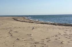 Jeremy Point Jaunt desde Wellfleet Marina