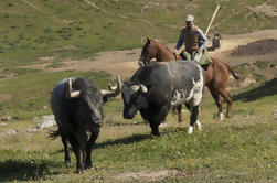 Andaluzia Fazenda de Cavalos em Córdoba