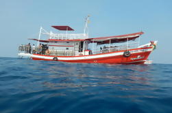 Full Day Dive Adventure in National Marine Park Koh Rang including 2 Dives and Lunch