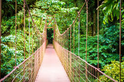 Hanging Bridges Walking Tour a Arenal