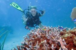 2-Tank Descubre el buceo en Fajardo