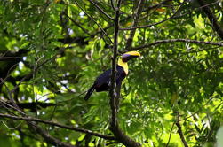 Morning Wildlife Hike Tour