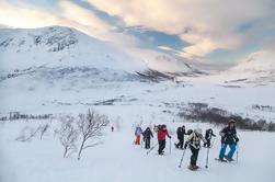 5 horas de caminata guiada por la colina de nieve en la isla Whale en Tromso