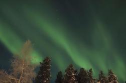 Nordlichter Snowmobile Safari aus Rovaniemi