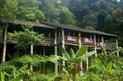 Annah Rais Bidayuh Longhouse Tour from Kuching