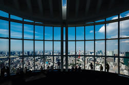 Observatorio de las colinas de Roppongi Ticket: Vista de la ciudad de Tokio