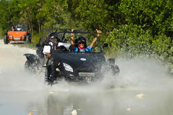 Buggy Tour a Rancho Macao