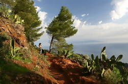 La Gomera Wild North West Tour