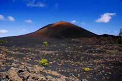 Volcán Chinyero de Tenerife y Tour de Bodegas con Vino