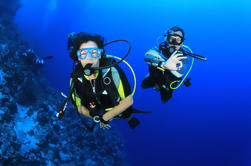 Fun Dive Package in Cabarete