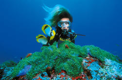 PADI Discover Scuba Diving in Bavaro