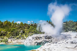 Excursie: Deluxe Rotorua Tour en Polynesische Spa Hot Pools met Lunch