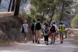 Tageswanderung in Marbella