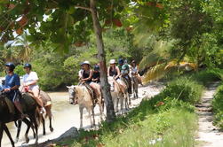 Punta Cana Cabalgata Aventura