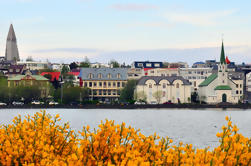 Reykjavik City Walking Tour com um local: uma caminhada com um Viking