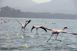 Excursão de um dia para Nakuru National Park de Nairobi