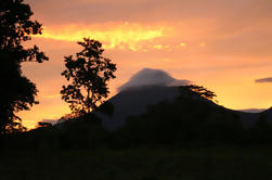 Private Arenal vulkaan Hike en Tabacón Thermische Hot Springs met Diner