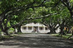 Port Louis, Chateau Labourdonnais, Eureka Koloniaal Huis en botanische tuin van de Dag Tour van Pamplemousses